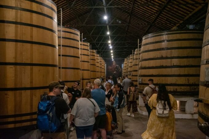 Porto: Wine Cellar Entry, Train Tour & Optional River Cruise - Important Details