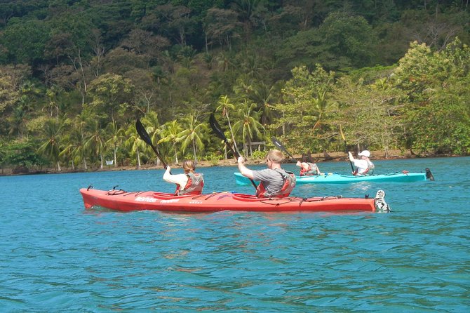Portobelo Sea Kayaking and Snorkeling Tour - Kayaking Alongside Mangrove Forests