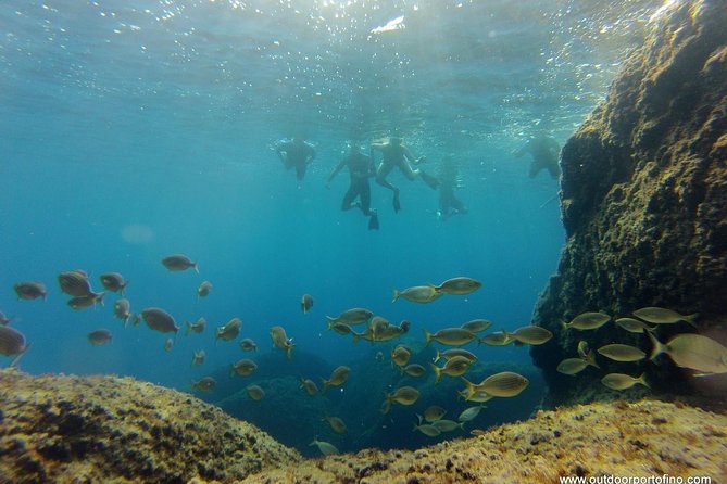 Portofino Kayak Tour - Additional Information
