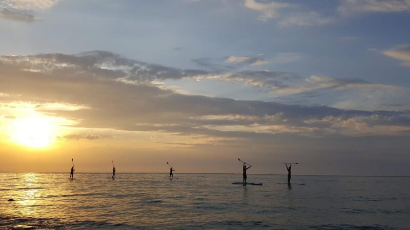 Portorož: Sunset Coastline Stand-Up Paddleboarding Tour - Pricing and Availability
