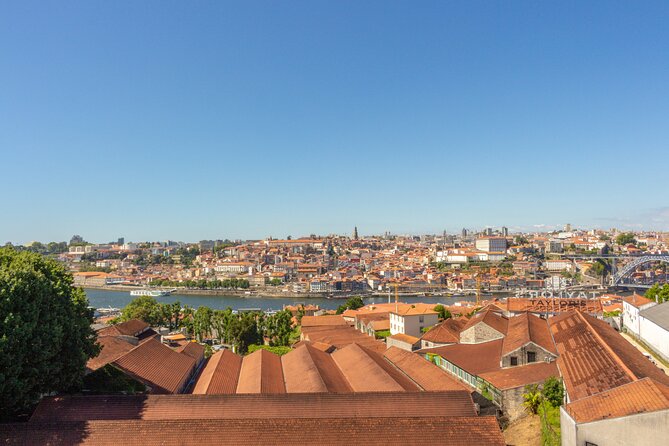 Porto's Romantic Pathways: A Love Story - Local Cuisine and Flavors