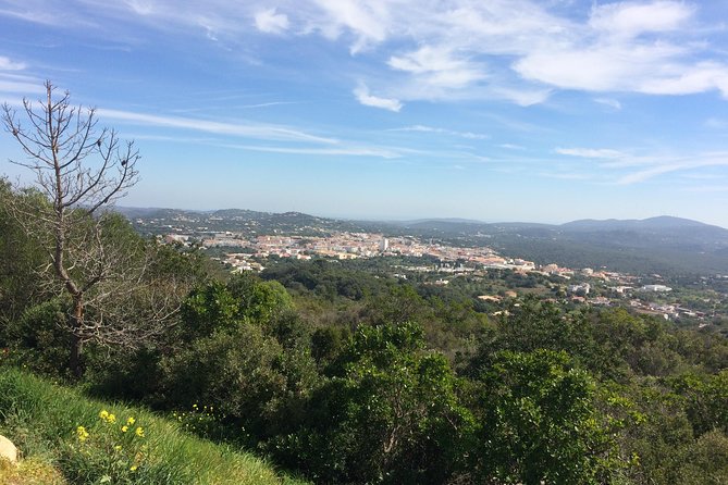 Portugal: Algarve Traditional Cork-Making Tour  - Albufeira - Key Points