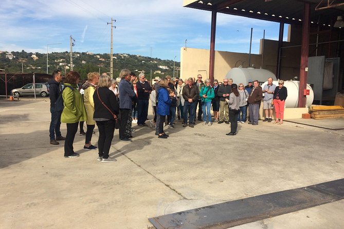 Portugal: Algarve Traditional Cork-Making Tour  - Albufeira - Cancellation and Rescheduling
