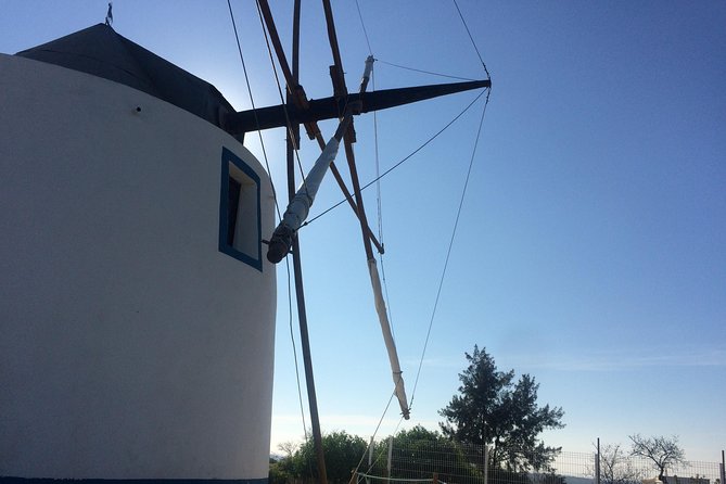 Portugal: Algarve Traditional Cork-Making Tour  - Albufeira - Frequently Asked Questions