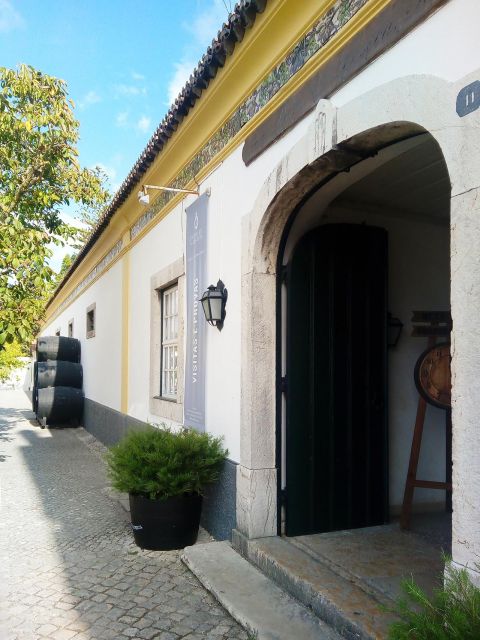 Portugal Arrábida Tour, The Winery and the Mountain Charms - Natural Park Highlights