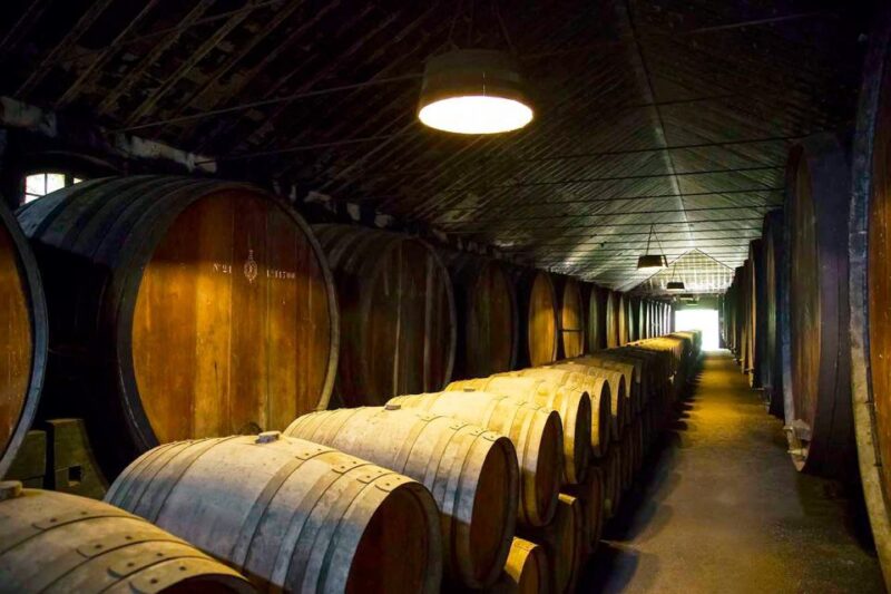 Portugal Arrábida Tour, The Winery and the Mountain Charms - Key Points