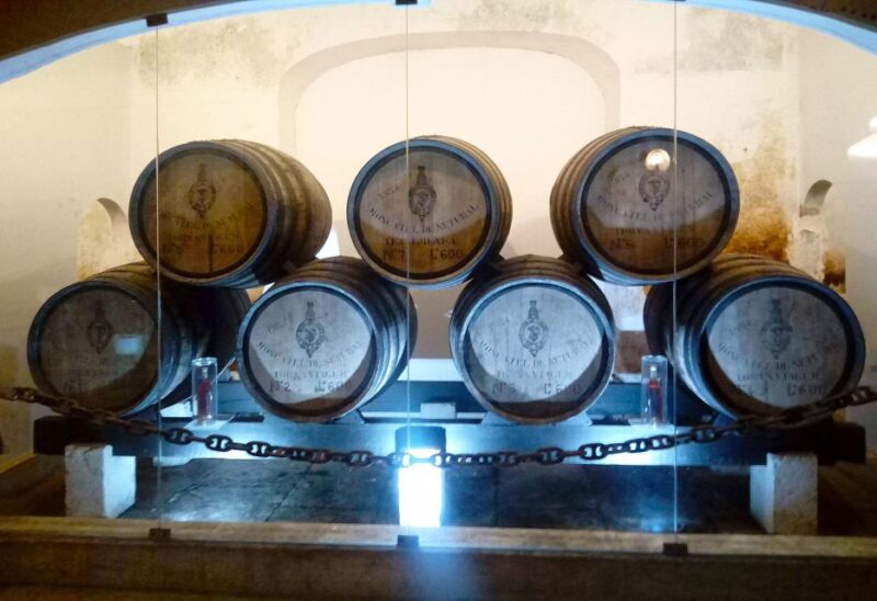 Portugal Arrábida Tour, The Winery and the Mountain Charms - Natural Park Highlights
