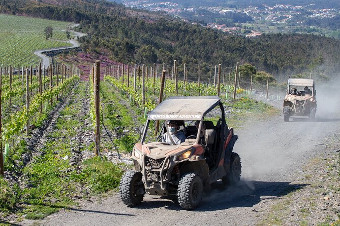 Portugal Extreme Tour By Oporto Buggy - Safety Considerations