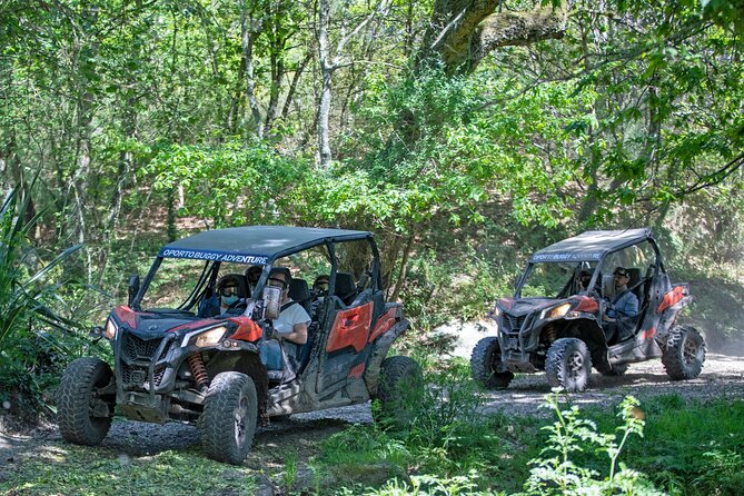Portugal Extreme Tour By Oporto Buggy - Accessibility