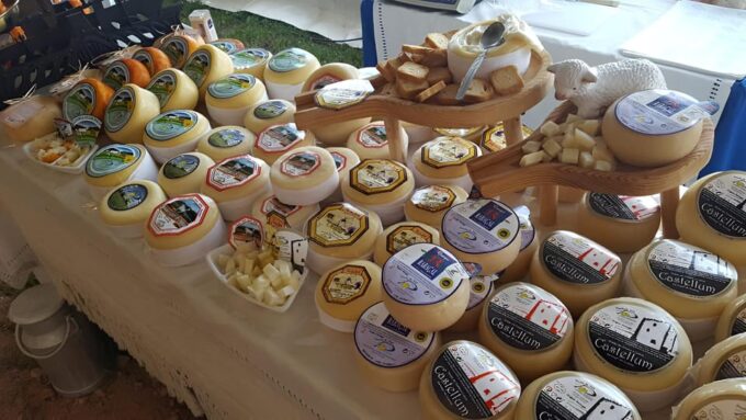 Portuguese Cheeses Tasting in Porto Antique Store - Recap