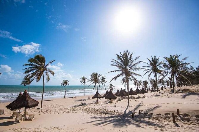 Portuguese Classes in Brazil - Recap