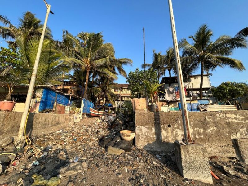 Portuguese Heritage Tour of Bombay 4 Hours - Experience Details