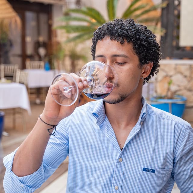 PORTUGUESE WINE TASTING IN THE HEART OF FARO - Wines and Pairings