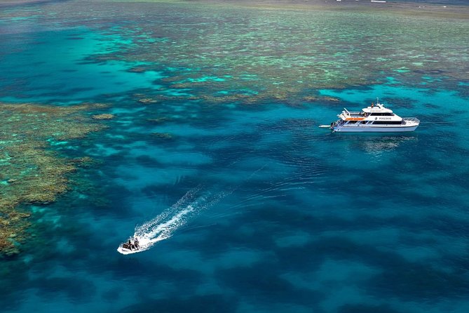 Poseidon Outer Great Barrier Reef Snorkeling and Diving Cruise From Port Douglas - Wildlife Encounters