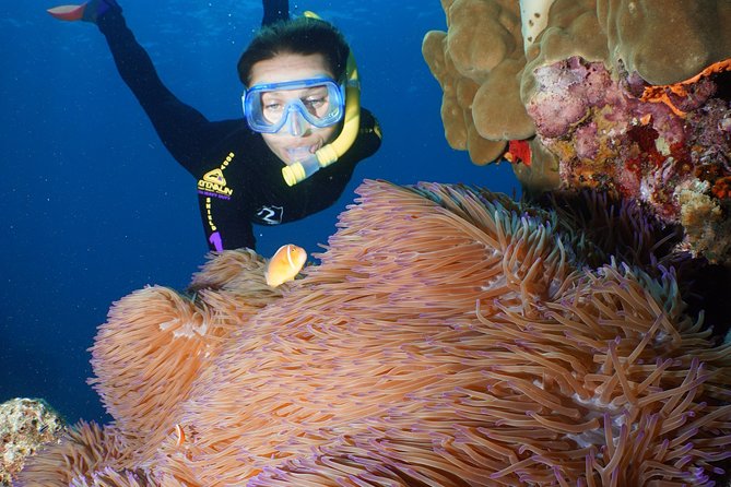 Poseidon Outer Great Barrier Reef Snorkeling and Diving Cruise From Port Douglas - Health and Safety
