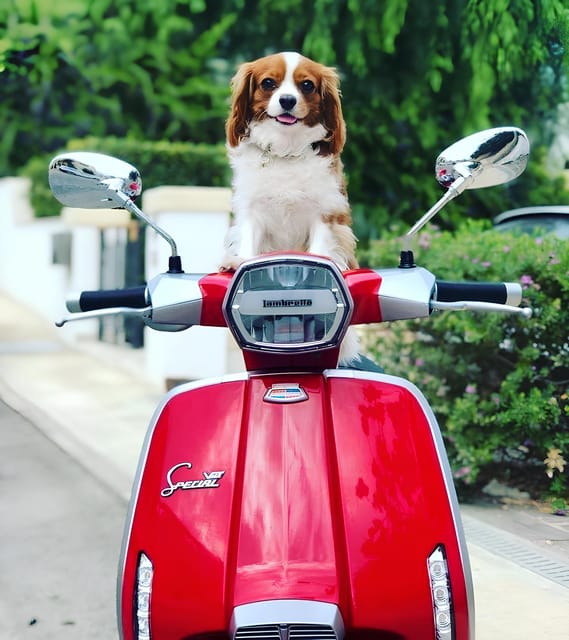 Positano: Lambretta Private Tour From Massa Lubrense - Itinerary Highlights