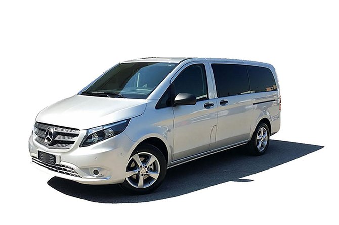 Positano or Ravello to Naples Airport/Station Private Departure Transfer - Accessibility and Special Requests