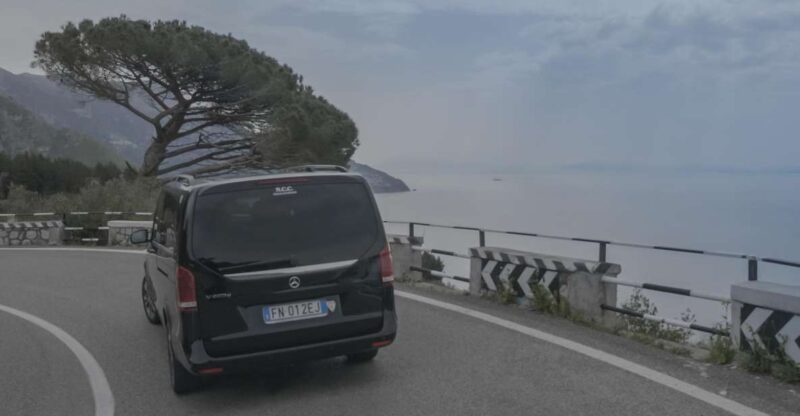 Positano: Private Transfer To/From Rome & Pompeii Ruins - Driver and Experience