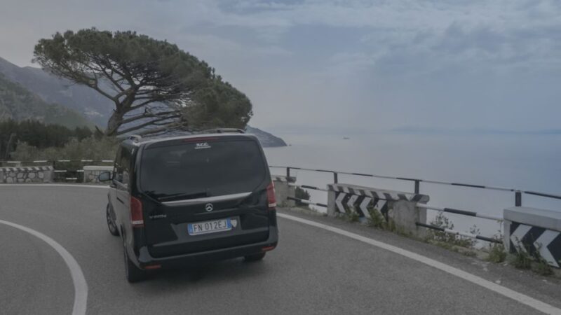 Positano: Private Transfer To/From Rome & Pompeii Ruins - Customer Reviews
