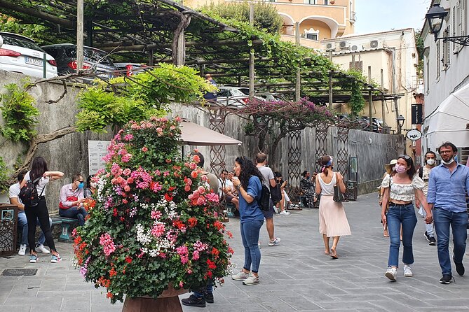 Positano, Sorrento and Pompeii in One Day With Expert Local Driver & Guide - Inclusions