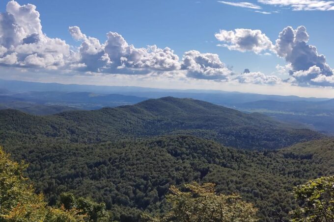 Postojna: Bear Watching Tour With Ranger and Local Guide - Frequently Asked Questions