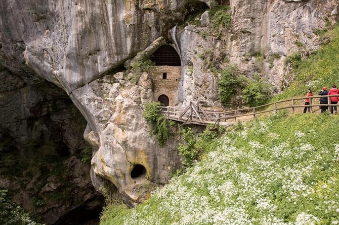 Postojna Cave and Castle Privat Tour From Koper, Trieste, Piran - Transportation and Itinerary