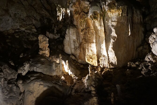 Postojna Cave and Predjama Castle Tour From Ljubljana - Postojna Cave Exploration