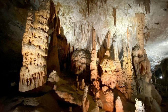 Postojna Cave Day Trip From Ljubljana - Customer Feedback Summary