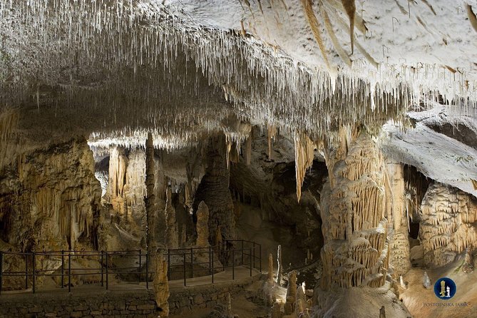 Postojna Cave, Predjama Castle and Piran Tour From Ljubljana - Traveler Reviews and Experiences
