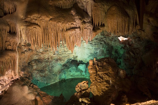 Postojna Cave & Predjama Castle - Questions and Assistance