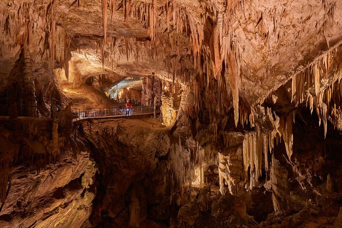 Postojna Cave & Predjama Castle - Shore Excursion From Trieste - Highlights of the Excursion