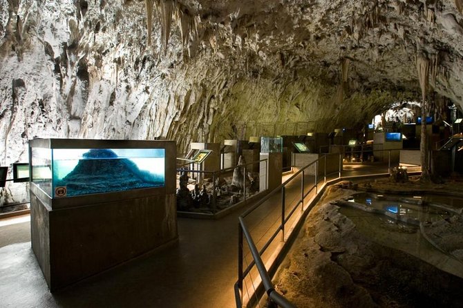 Postojna Cave & Predjama Castle - Small Group Tour From Trieste - Inclusions