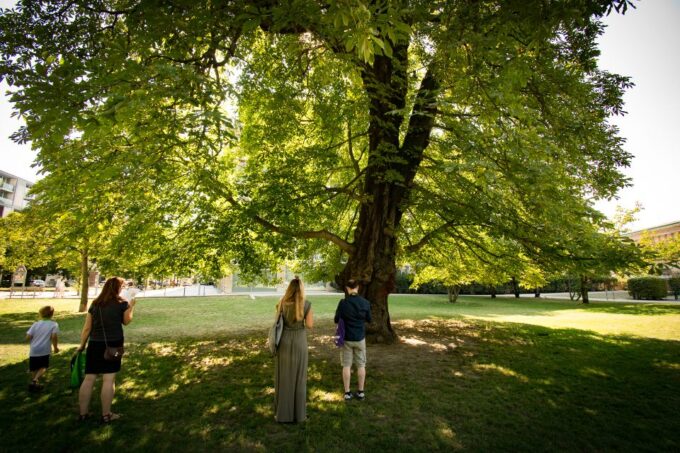 Potsdam: Scavenger Hunt, Sightseeing & Outdoor Escape Game - Interactive Exploration Game