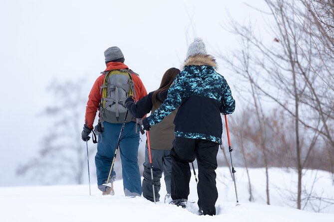 Powder Belt Pass 5 Days Ticket,Snowshoeing, Hot Springs Wagyu BBQ - Snowshoeing Through the Powder Belt