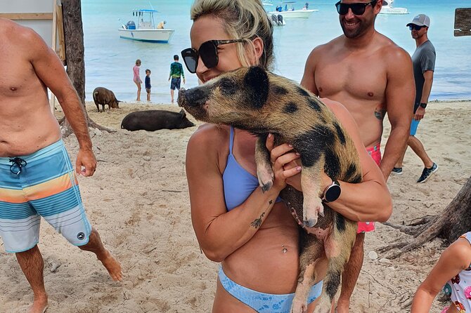 Powerboat and Snorkel Experience With Swimming Pigs and Turtles - Encounter With Swimming Pigs