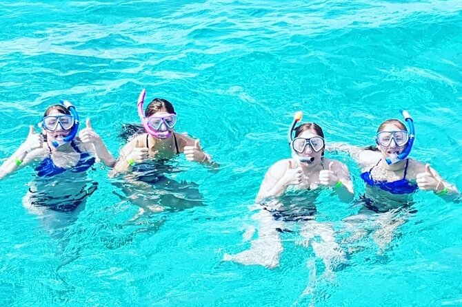 Powerboat and Snorkel Experience With Swimming Pigs and Turtles - Crews Welcoming and Attentive Service