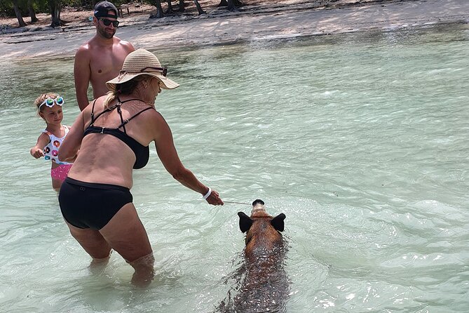 Powerboat and Snorkel Experience With Swimming Pigs and Turtles - Flexibility and Adaptability of the Experience