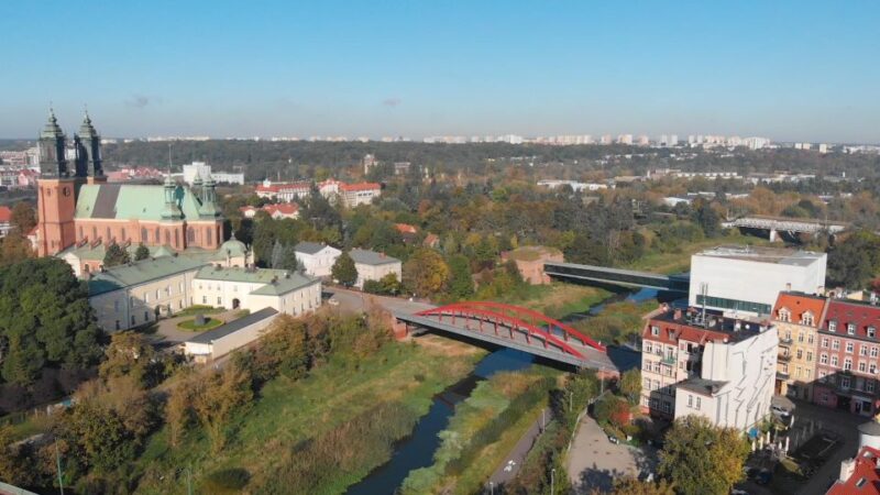 Poznań Half-day Tour - Customer Feedback and Unique Experiences