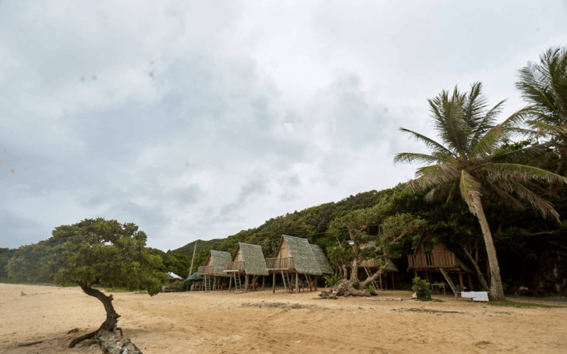 POZO ROBO BEACH & JUNGLE DAY TOUR (Private) - Eco-tourism Destination