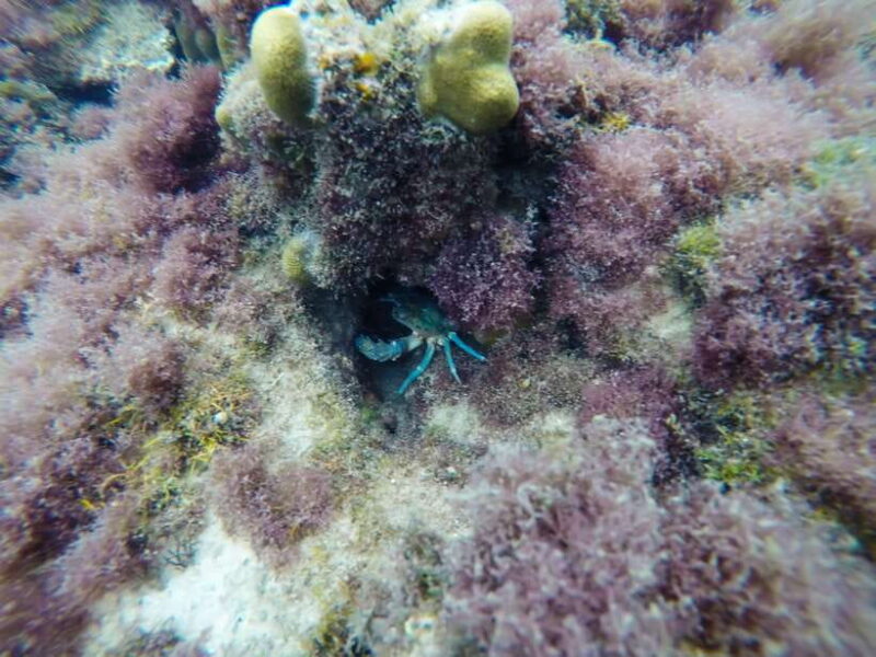 PQ: Speedboat Tour to 3 Islands in the South (CANO TRIP) - Equipment and Inclusions
