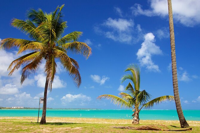 PR Chinchorreo-Beach and Bar Hopping Tour - Customer Feedback