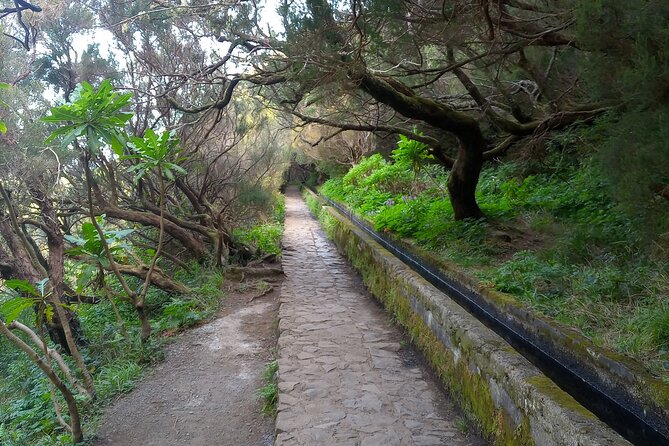 PR6 25 Fountains/Risco Levada Private Transfer - Inclusions