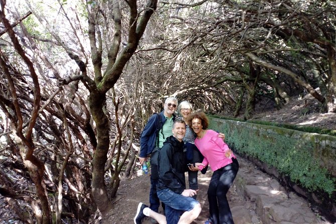 PR6 25 Fountains/Risco Levada Private Transfer - Health and Accessibility