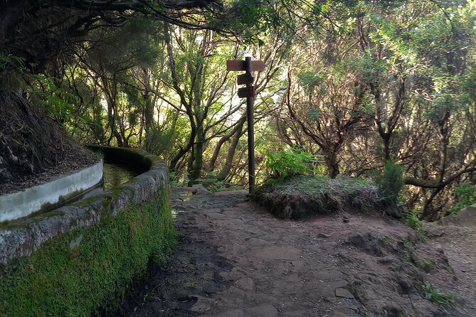 PR6 25 Fountains/Risco Levada Private Transfer - Reviews Highlights