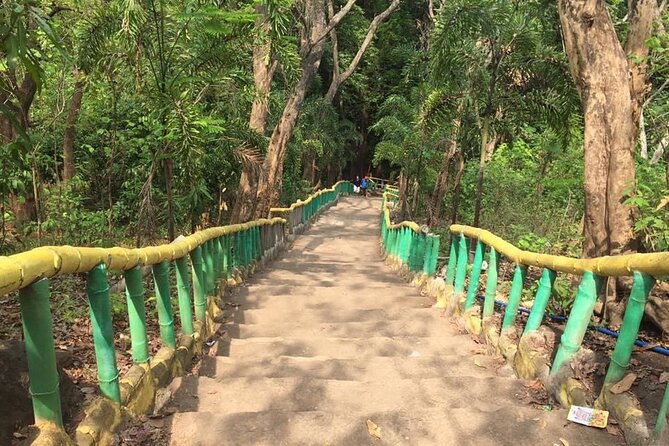 Practice Yoga & Qi Gong in Nature Review - Traveler Testimonials