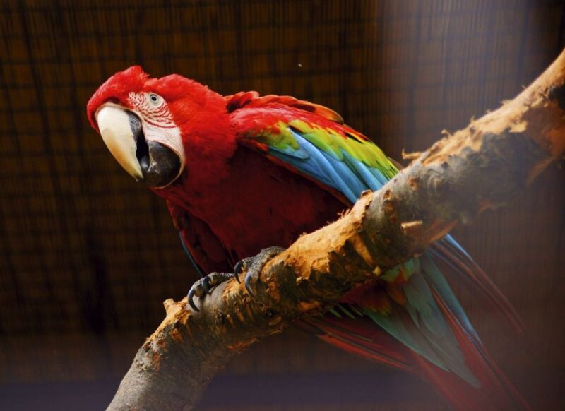 Prague: Boat Ride to the Zoo and Admission Ticket - Inclusions and Exclusions