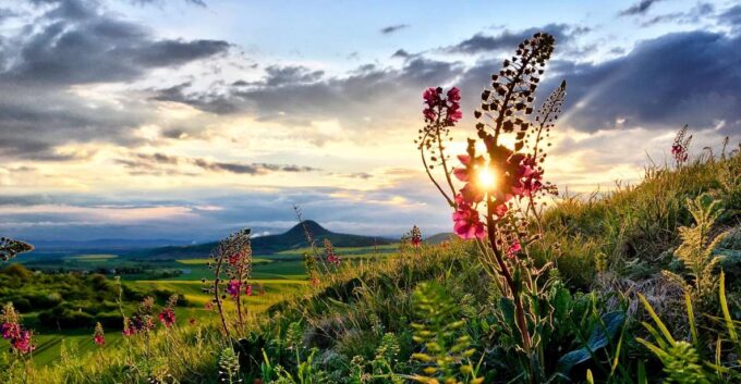 Prague: Bohemian Uplands Garnet Panning&Animal Farm 4WD Tour - Animal Farm and Cheese Tasting