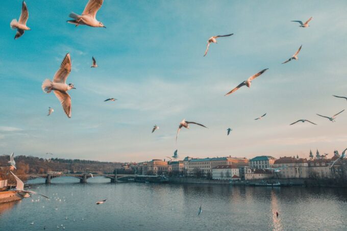 Prague: Capture the Most Photogenic Spots With a Local - What to Bring for the Tour
