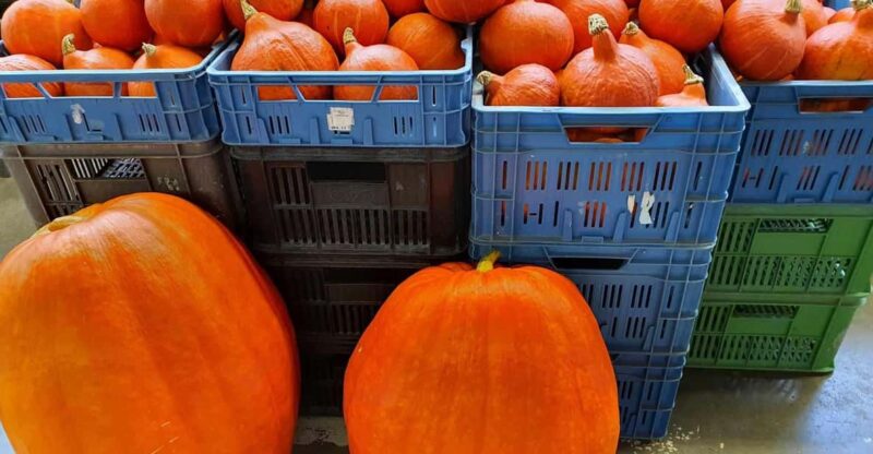 Prague: Famous Markets of Prague Tour - Itinerary Details
