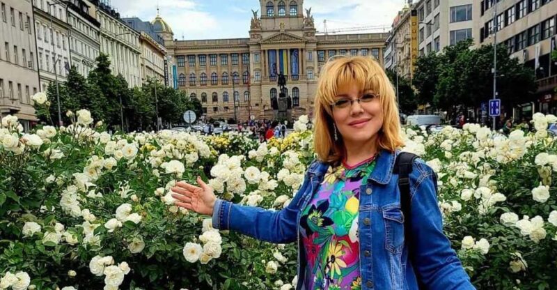 Prague: Highlights of Prague Private Half-Day Tour by Car - Experience and Features